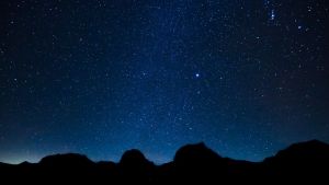 Calici di Stelle