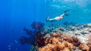 Diving, um das tiefe Herz von Pantelleria zu entdecken