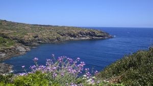 Quoi voir &agrave; Pantelleria: les attractions de l'&icirc;le